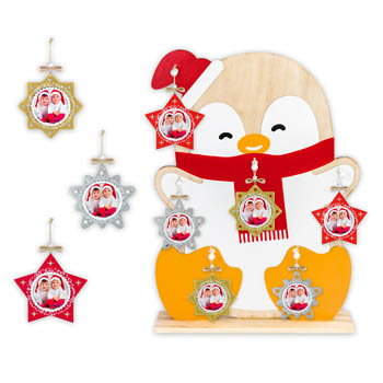 KIT-PINGU-LS493.jpg