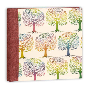 ALBUM LAURA A 25X25/30